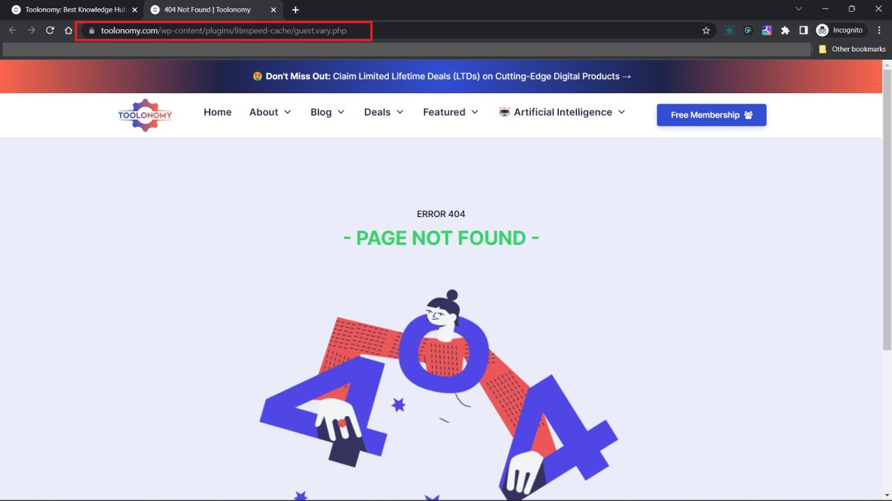 Broken Homepage Due to Missing LiteSpeed Plugin's File - Screenshot - Toolonomy