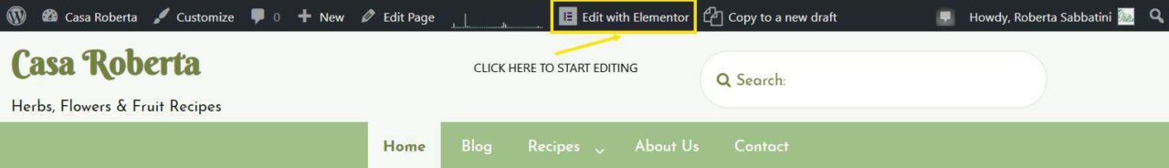 Edit And Work On WordPress Elementor Pages
