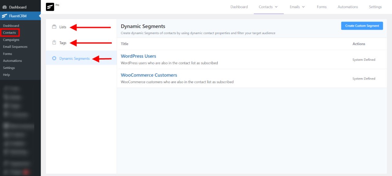FluentCRM Review: Best WordPress-Based Email Marketing Tool • WPnomy FluentCRM Contacts Segmentations Image - SyncWin