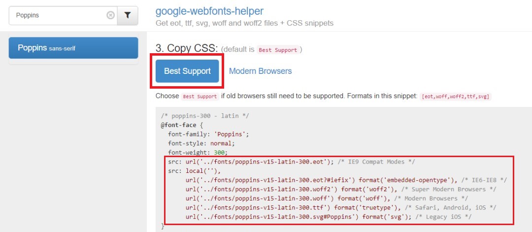 Step #4: Select the Font Formats you want to use