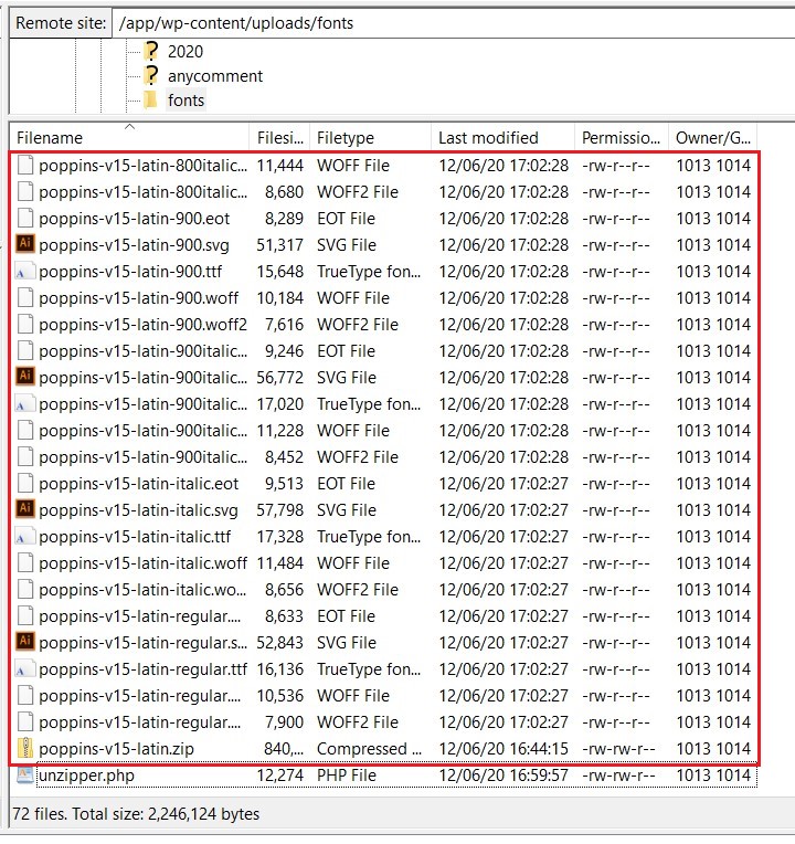 Google Font Locally Image Step 9 - SyncWin