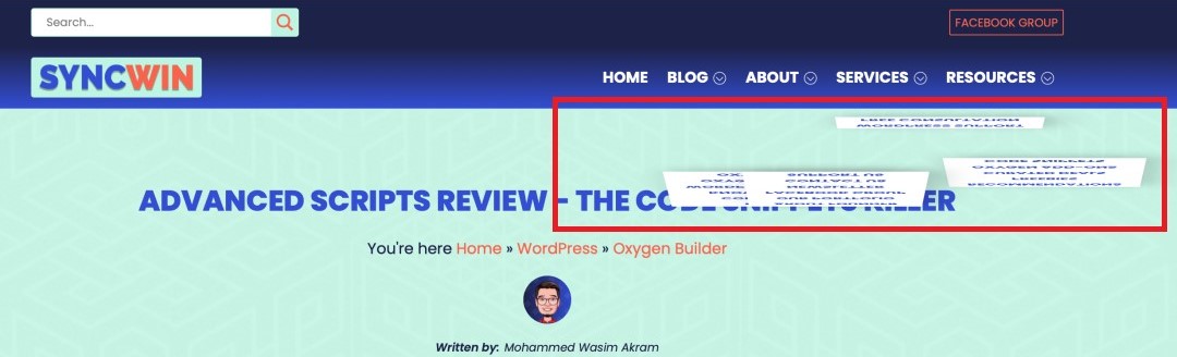 Pro Menu Issue in Safari Browser - Image - SyncWIn
